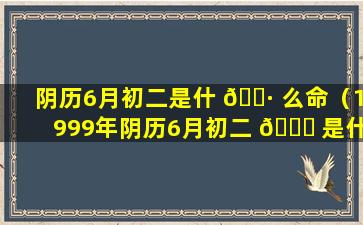 阴历6月初二是什 🕷 么命（1999年阴历6月初二 🐛 是什么命）